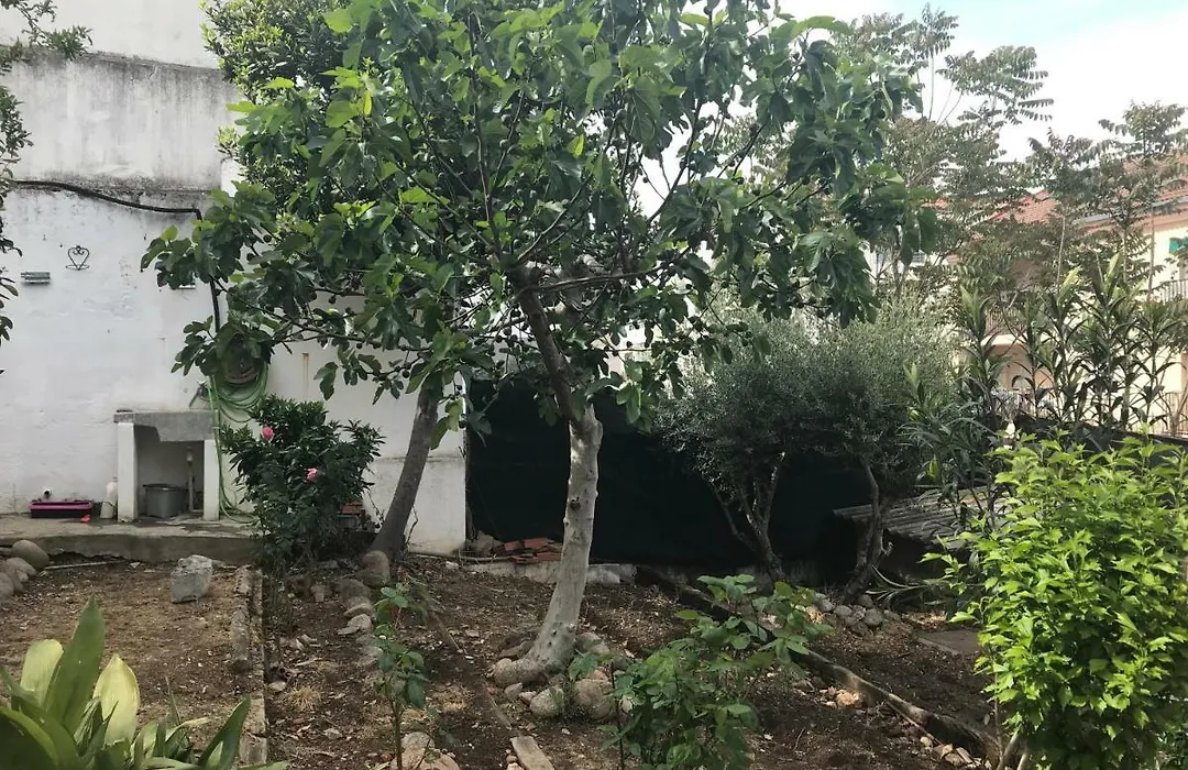 Albergue las Veletas-1